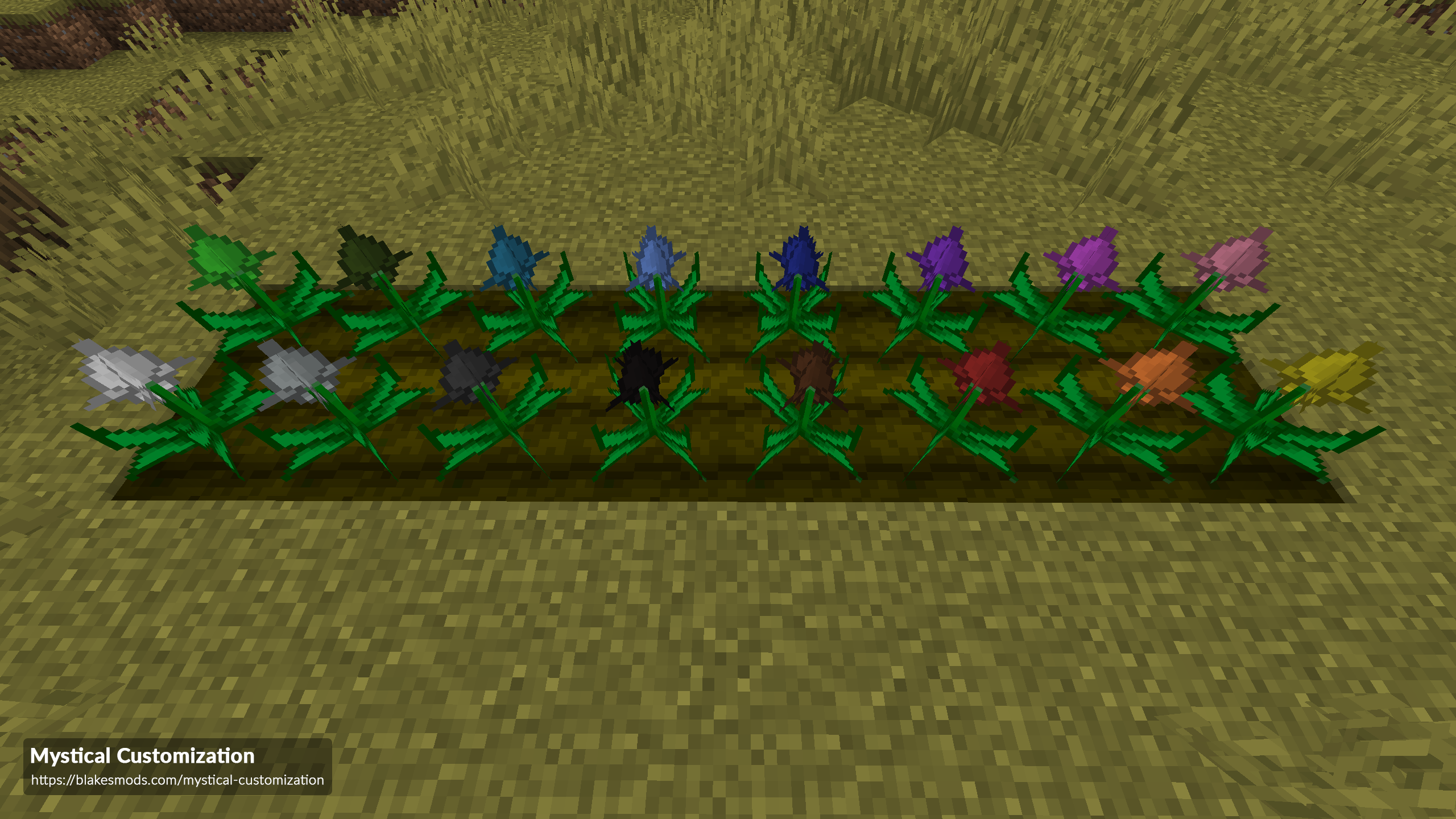 Mystical Customization hero image